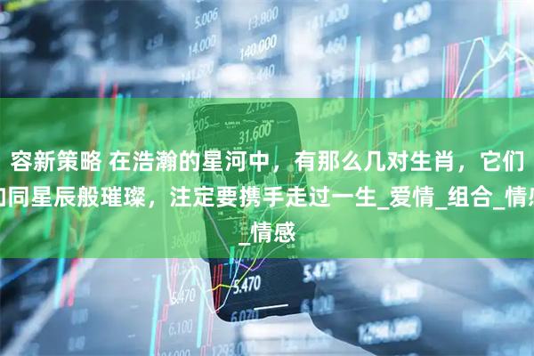 容新策略 在浩瀚的星河中，有那么几对生肖，它们如同星辰般璀璨，注定要携手走过一生_爱情_组合_情感