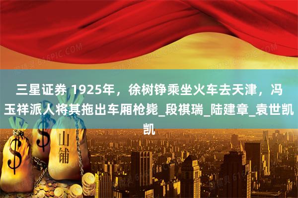 三星证券 1925年,徐树铮乘坐火车去天津,冯玉祥派人将其拖出车厢枪毙_段祺瑞_陆建章_袁世凯